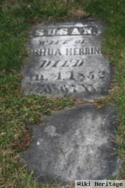 Susan Herring