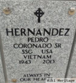 Pedro Coronado "'perringa'" Hernandez, Sr
