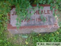 James I Healey