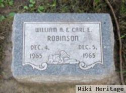 Carl E. Robinson