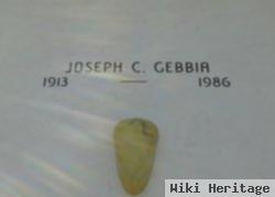 Joseph C Gebbia