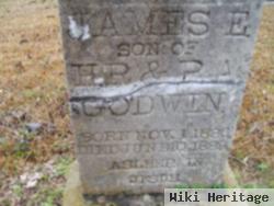 James E Godwin