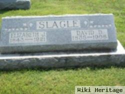 David D Slagle