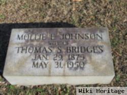 Mollie E. Johnson Bridges