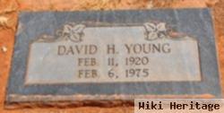 David H Young