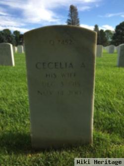 Cecelia A Hodgin