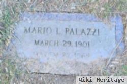 Mario L Palazzi