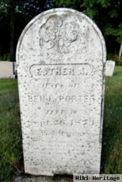 Esther Ann Edminster Porter