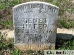 Genet Hafer