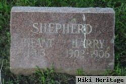 Harry Shepherd