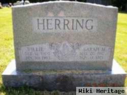 Willie Herring