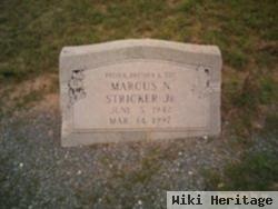 Marcus N Stricker, Jr
