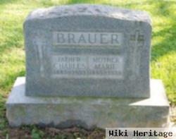 Marie Anna Dinnie Brauer