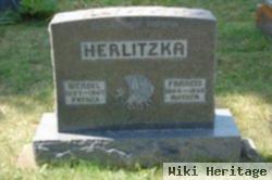 Wenzel Herlitzka