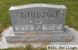 Therese J. "terry" Kush Knudson