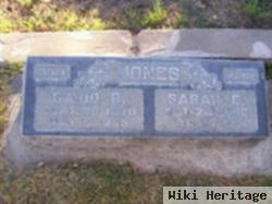 Sarah E. Jones