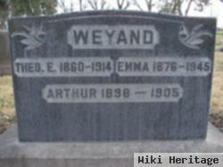 Theo E Weyand