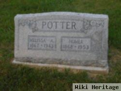 Homer Potter