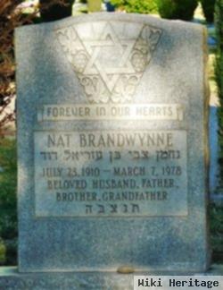 Nat Brandwynne