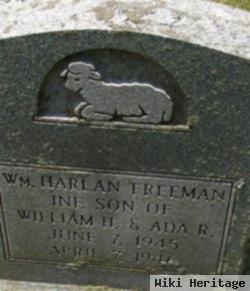 Harlan William Freeman