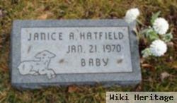 Janice A Hatfield