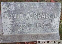 David W Beaman