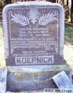 Julius Koepnick