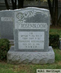 Evangeline Papanicolan Rosenbloom