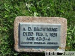 Andrew D Browning