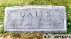 Molly Emily Portele Gates