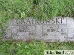 Charles Gnatkowski