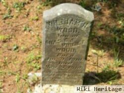 William H Wood