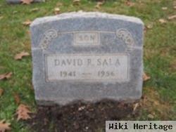 David Ray Sala