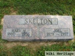 Joel Skelton