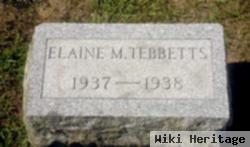 Elaine M Tebbetts