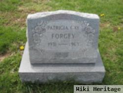 Patricia Gay Forgey