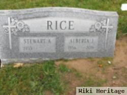 Stewart A. Rice