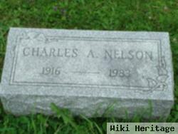 Charles A Nelson