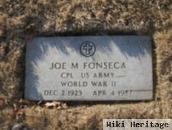 Joe M Fonseca