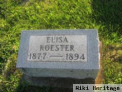 Elisa Koester