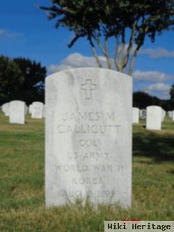 James Madison Callicutt