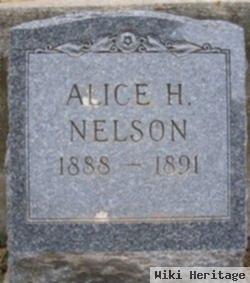 Alice H Nelson