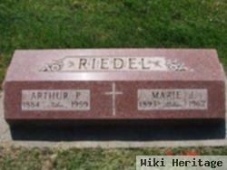 Marie J Riedel