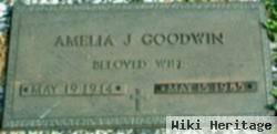 Amelia J. Goodwin