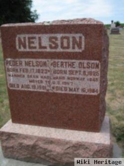 Peder Nelson