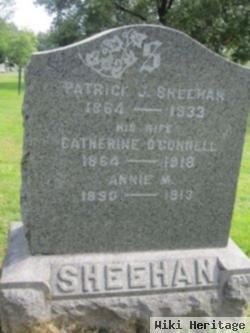 Patrick J Sheehan