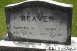 Harry J Beaver