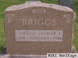 Amelia Briggs