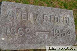 Amelia Pauline Schliem Focht