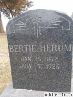 Eric "bertie" Herum